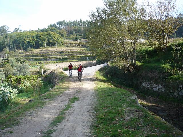 118- Em equipe.JPG
